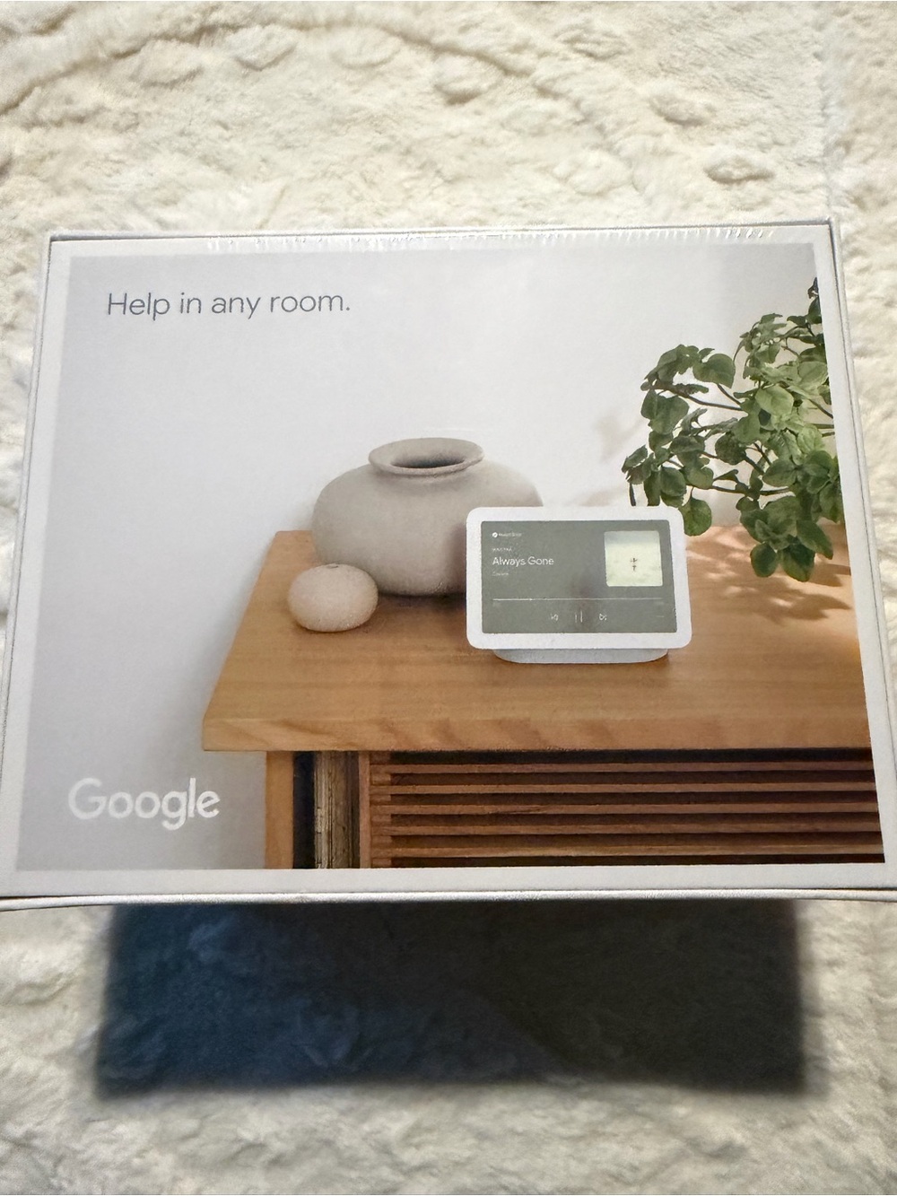 Google Smart Display in White